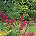 Private back garden with patio area